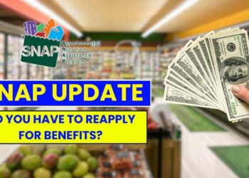 SNAP Update: Do You Have to Reapply for Benefits? What We Know