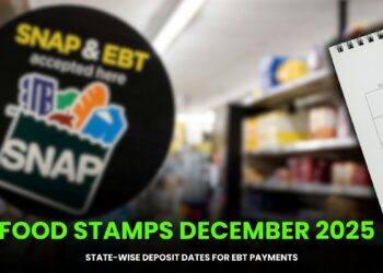 Food Stamps December 2025: State-Wise Deposit Dates for EBT Payments